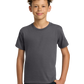 Gildan® - Youth Heavy Cotton™ 100% Cotton T-Shirt - Charcoal