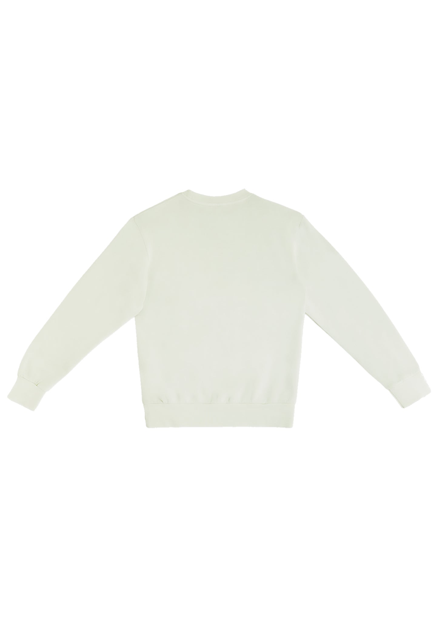 Premium Streetwear Sweatshirt - Pistachio