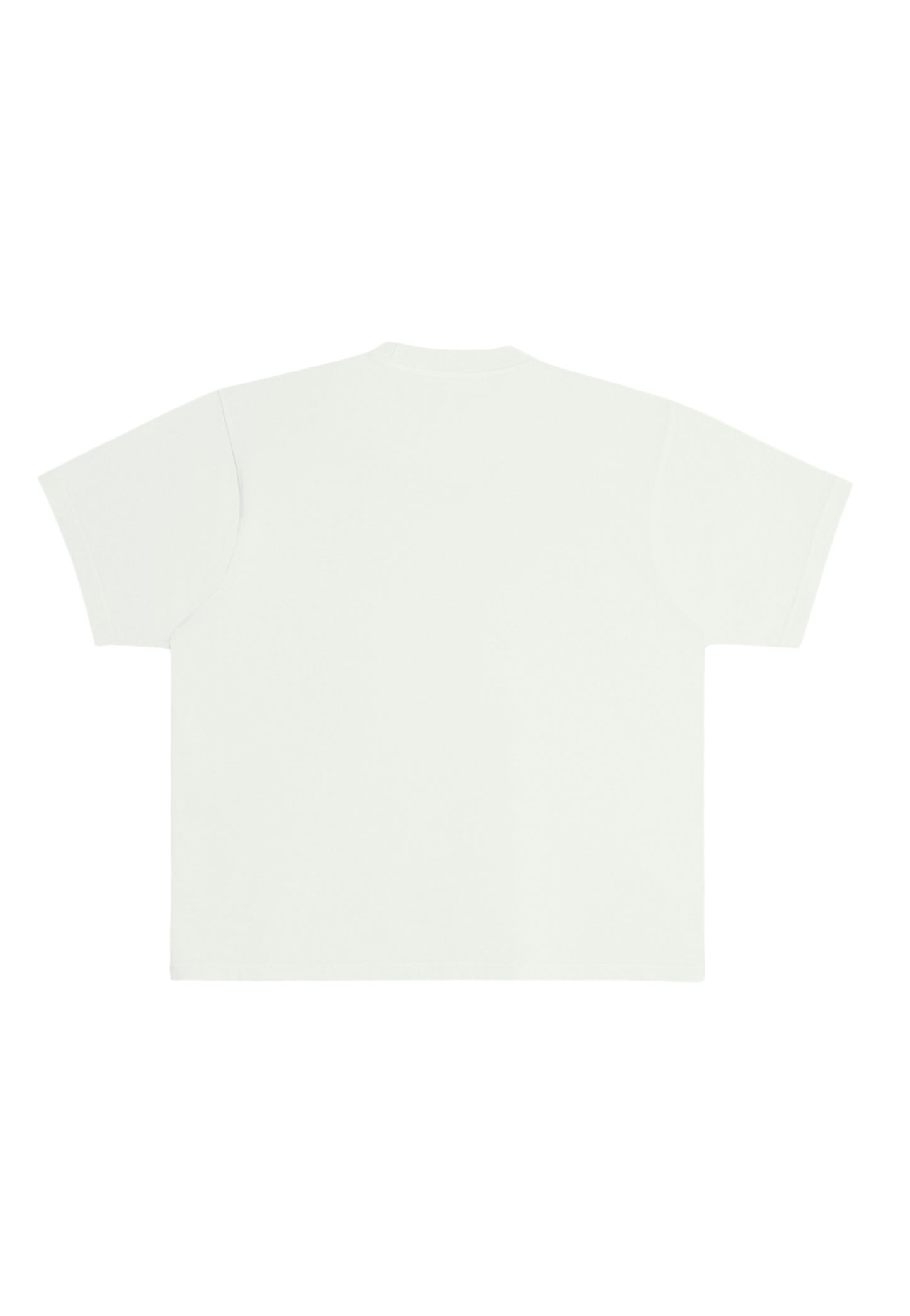 Streetwear Heavyweight Women Short Sleeve - Pistachio