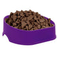 Promo Happy Dog Pet Bowl - Purple