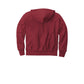 Champion® Reverse Weave® Hooded Sweatshirt - Cardinal