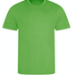 Too Cool Short Sleeve Tee - Lime Green
