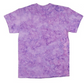 Tie Dye Short Sleeve Tee - Purple Haze Coolness